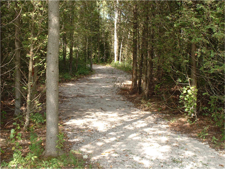Trail
