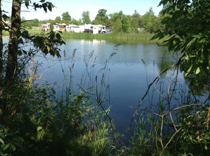 Pond with Trailers Behind