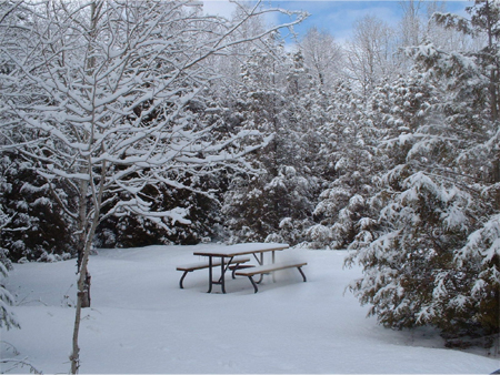 Winter View of Sites
