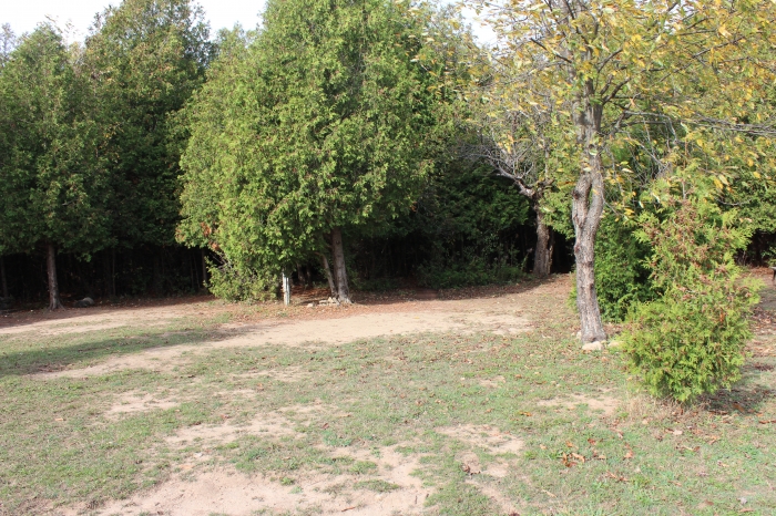 Side View - 1