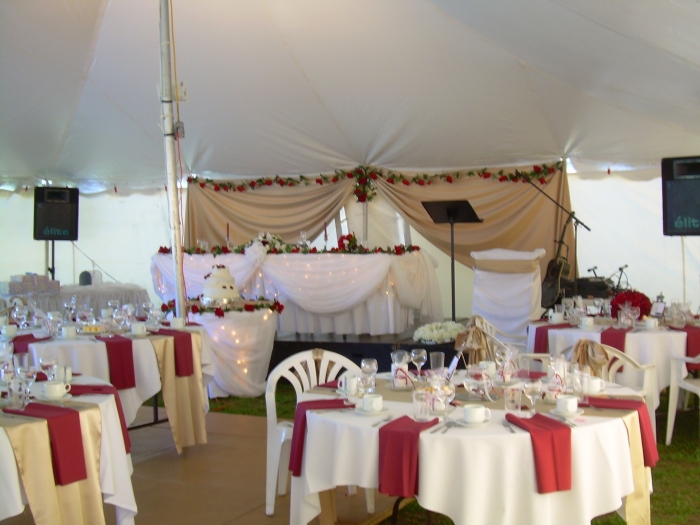 White and pink Wedding 1 White and pink Wedding 1