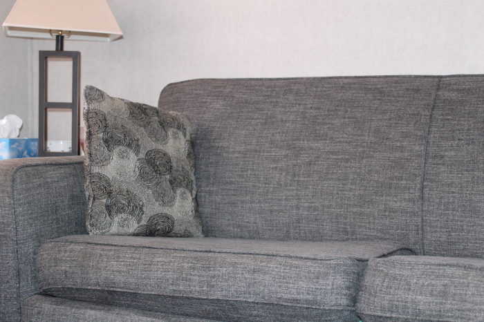 2017 Northlander Reflection Sofa Bed