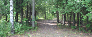 Trails