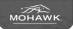 Mohawk Raceway Logo